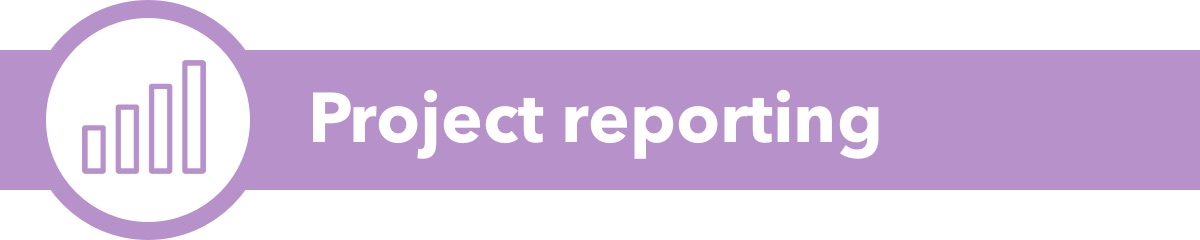 Project reporting