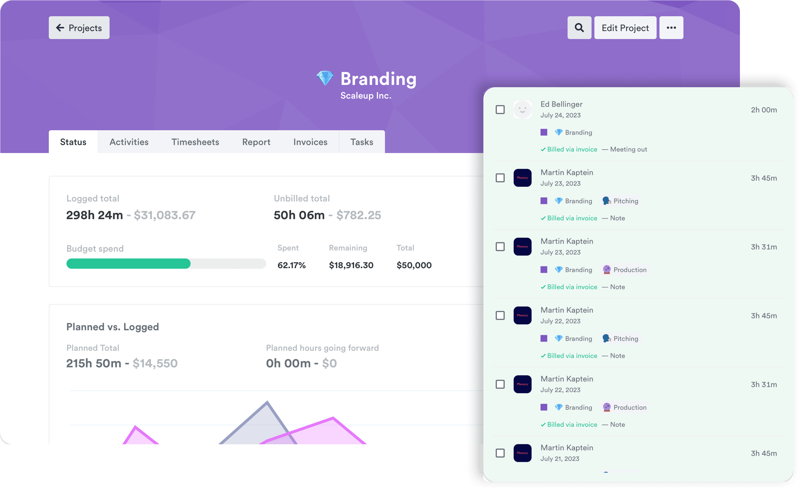 User interface displaying logged hours and financial summary for the Branding project of a project management tool.
